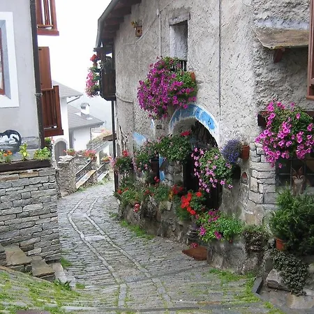 Maison La Taupiniere Country house *