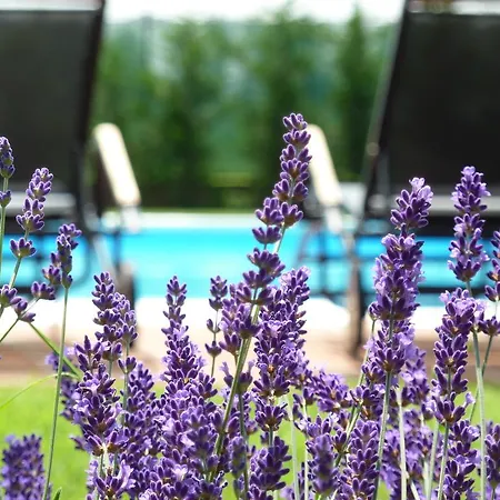Country house Maison La Taupiniere *