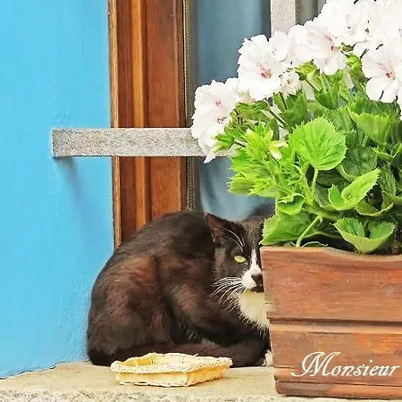 Εξοχικό σπίτι Maison La Taupiniere